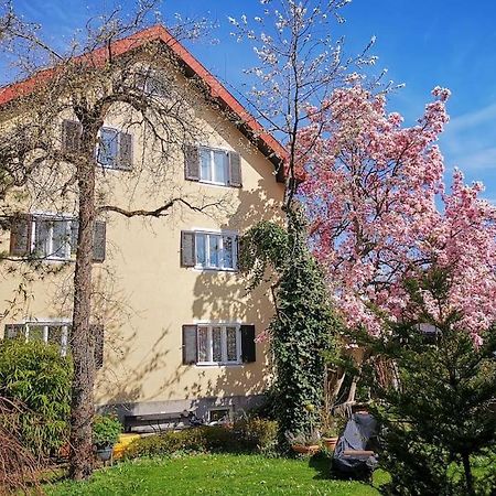 70Qm 3-Zimmer Apartment Am Tauernradweg In Hallein Bei Salzburg, Nahe Berchtesgaden, Rossfeld, Kehlsteinhaus, Obersalzberg, Watzmann, Schoenau Am Koenigsee, Bad Vigaun, Schloss Hellbrunn, Burg Hohen Salzburg, Burg Hohen Werfen # Beherbergungsbetrieb Extérieur photo