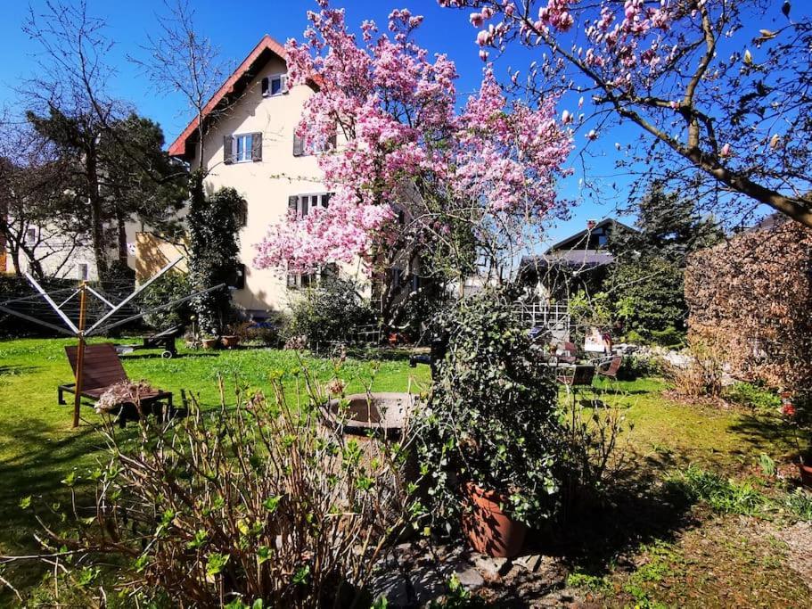 70Qm 3-Zimmer Apartment Am Tauernradweg In Hallein Bei Salzburg, Nahe Berchtesgaden, Rossfeld, Kehlsteinhaus, Obersalzberg, Watzmann, Schoenau Am Koenigsee, Bad Vigaun, Schloss Hellbrunn, Burg Hohen Salzburg, Burg Hohen Werfen # Beherbergungsbetrieb Extérieur photo