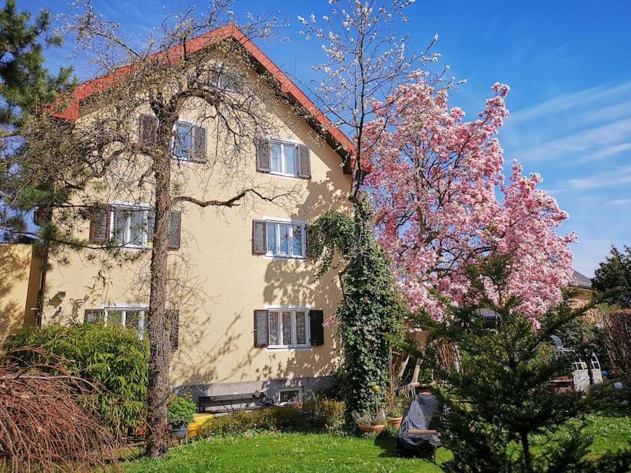 70Qm 3-Zimmer Apartment Am Tauernradweg In Hallein Bei Salzburg, Nahe Berchtesgaden, Rossfeld, Kehlsteinhaus, Obersalzberg, Watzmann, Schoenau Am Koenigsee, Bad Vigaun, Schloss Hellbrunn, Burg Hohen Salzburg, Burg Hohen Werfen # Beherbergungsbetrieb Extérieur photo