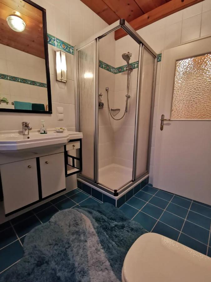 70Qm 3-Zimmer Apartment Am Tauernradweg In Hallein Bei Salzburg, Nahe Berchtesgaden, Rossfeld, Kehlsteinhaus, Obersalzberg, Watzmann, Schoenau Am Koenigsee, Bad Vigaun, Schloss Hellbrunn, Burg Hohen Salzburg, Burg Hohen Werfen # Beherbergungsbetrieb Extérieur photo